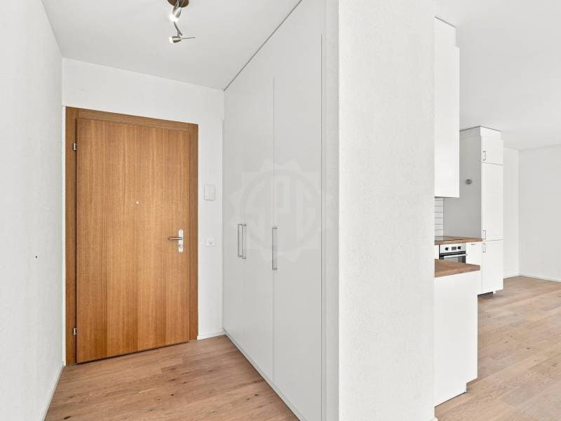 Appartement agréable - Chêne-Bourg (1)