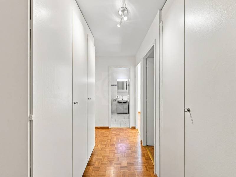 Charmant appartement - Corsier GE (4)