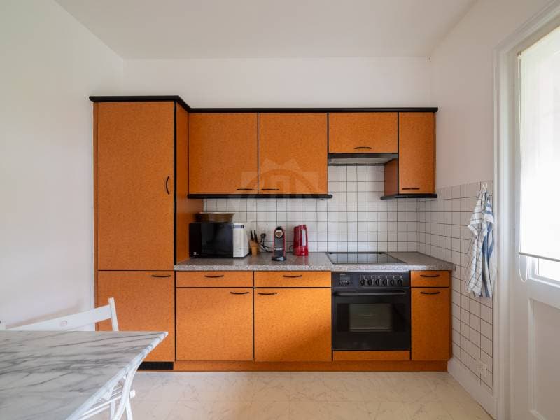 Charmant appartement - Vésenaz (3)