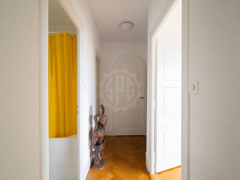 Charmant appartement - Vésenaz (7)