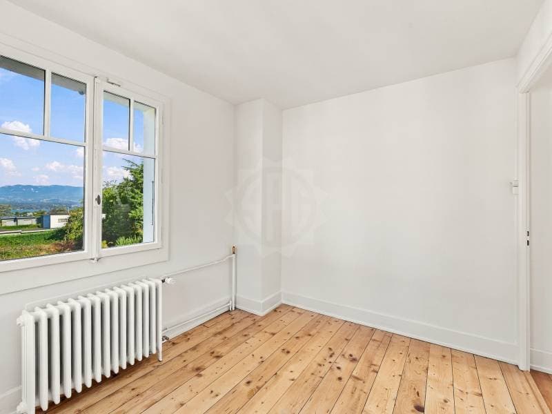 Chaleureuse villa - Collonge-Bellerive (10)
