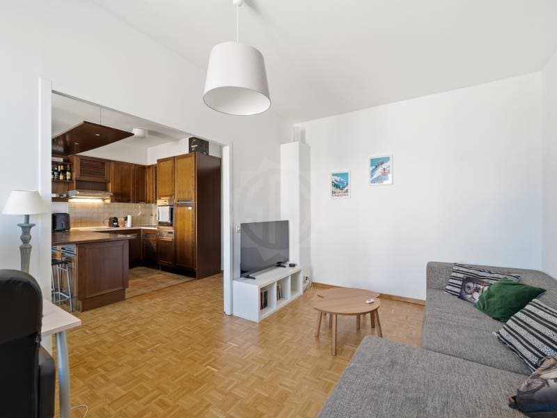 Appartement agréable - Chêne-Bourg (7)
