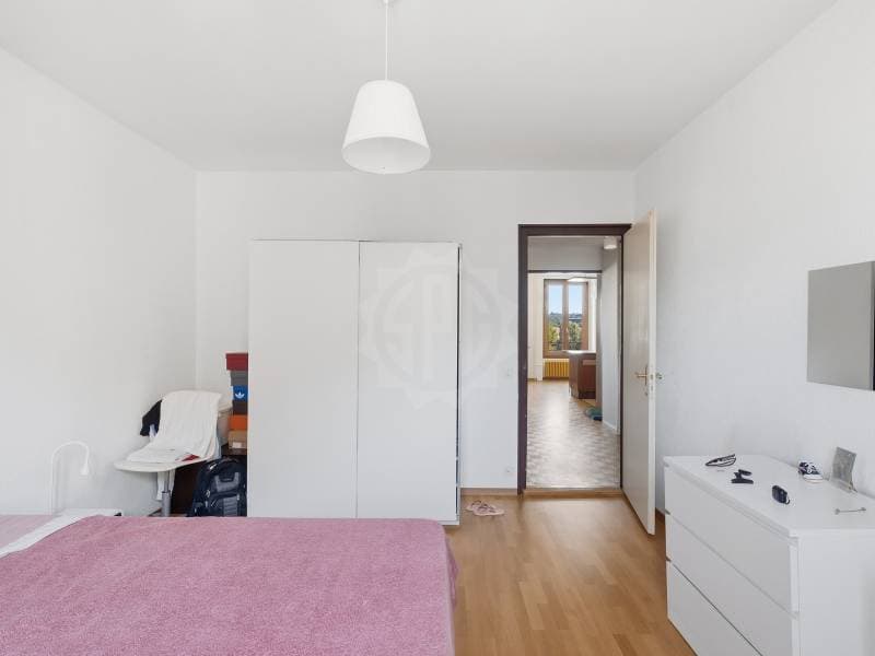 Appartement agréable - Chêne-Bourg (9)
