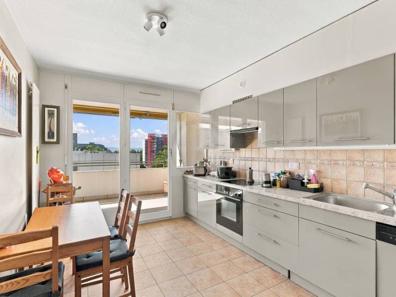 Magnifique appartement - Le Grand-Saconnex (3)
