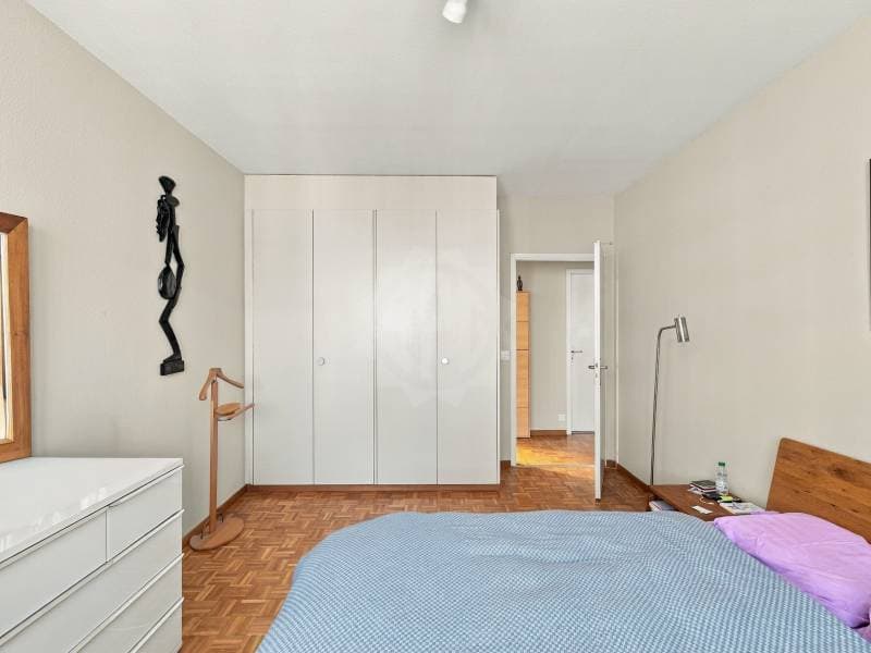 Magnifique appartement - Le Grand-Saconnex (11)