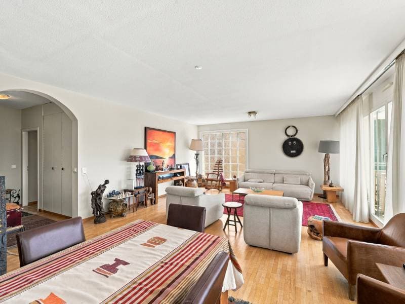 Magnifique appartement - Le Grand-Saconnex (5)