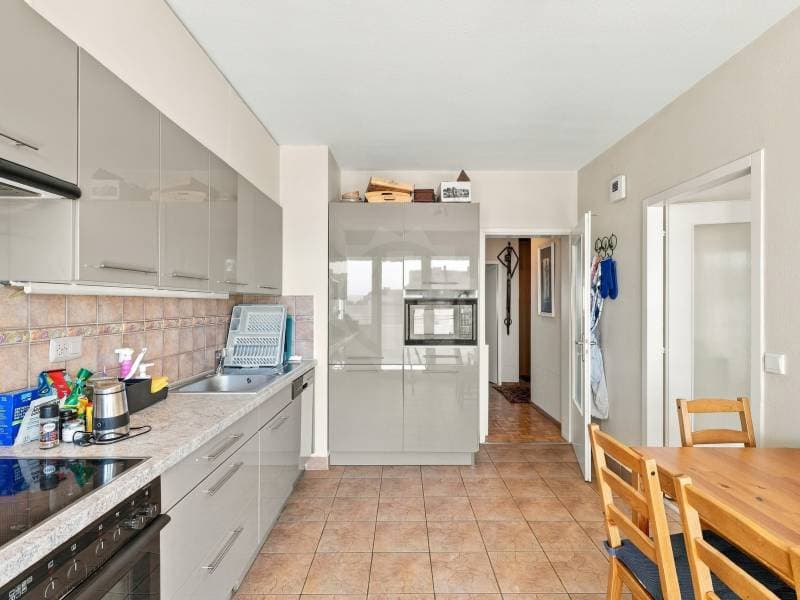Magnifique appartement - Le Grand-Saconnex (4)