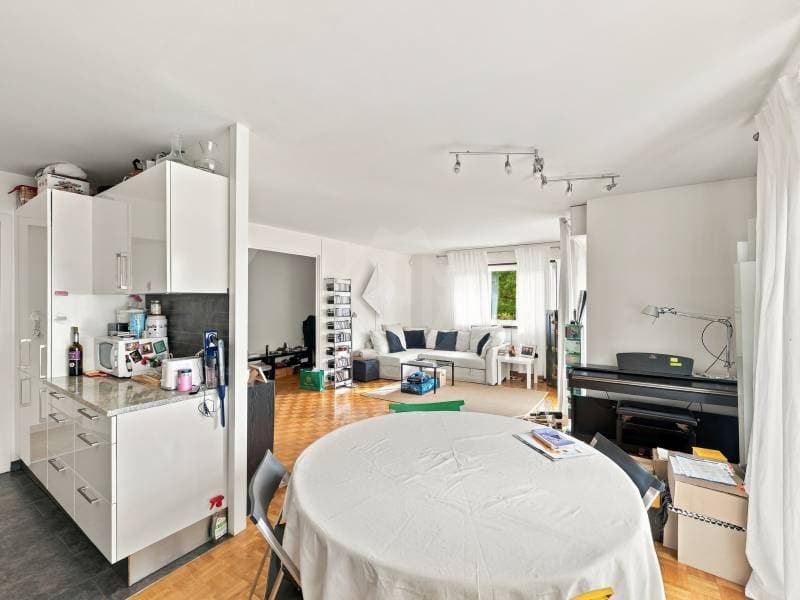 Charmant appartement - Corsier GE (5)