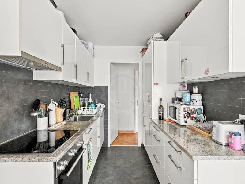 Charmant appartement - Corsier GE (1)