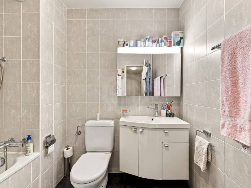 Charmant appartement - Corsier GE (11)