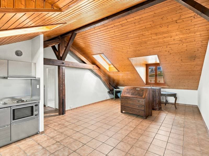 Appartement agréable - Genève (3)