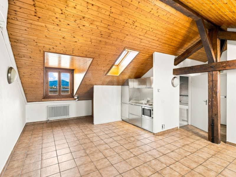 Appartement agréable - Genève (1)