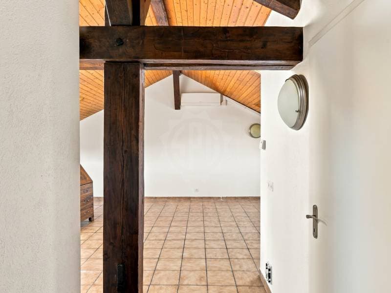 Appartement agréable - Genève (4)