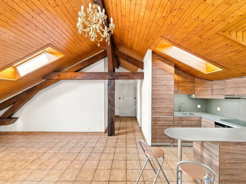 Appartement agréable - Genève (2)
