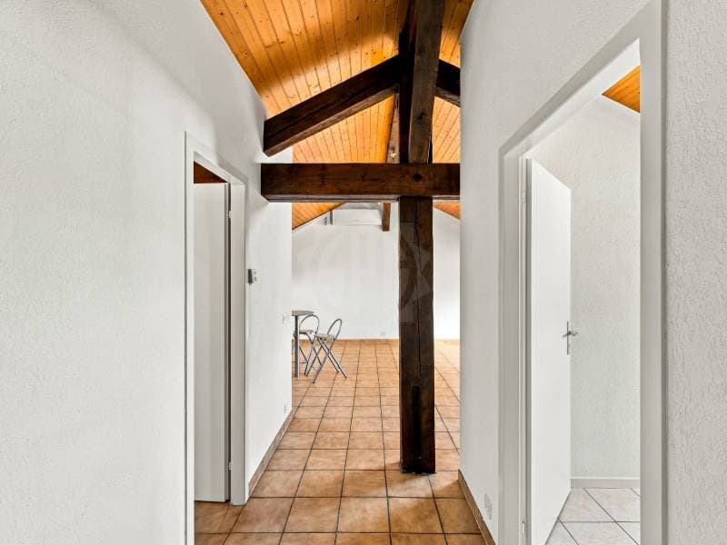 Appartement agréable - Genève (3)