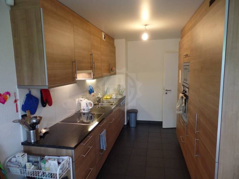 Magnifique appartement - Genève (3)