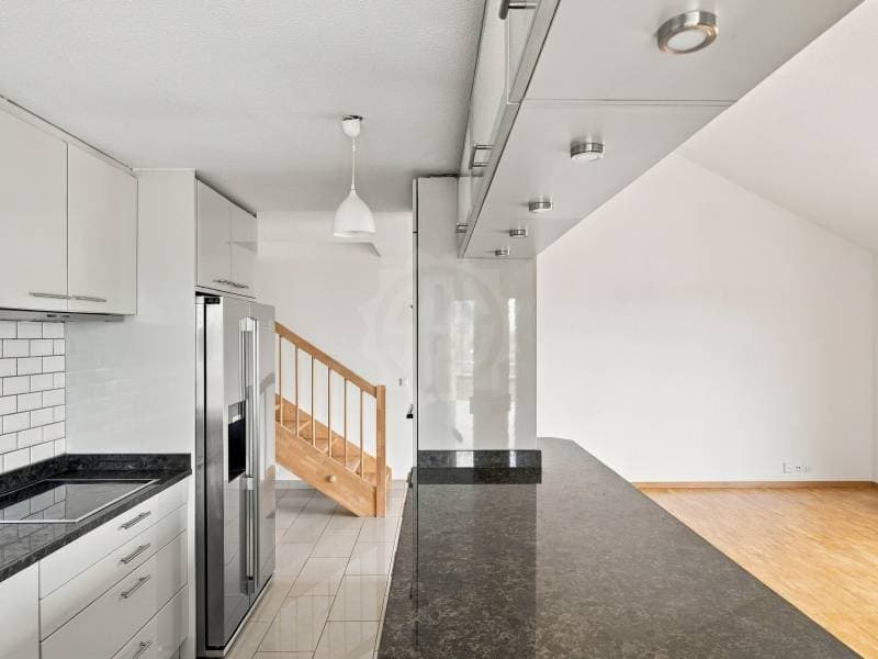 Magnifique appartement - Le Grand-Saconnex (3)