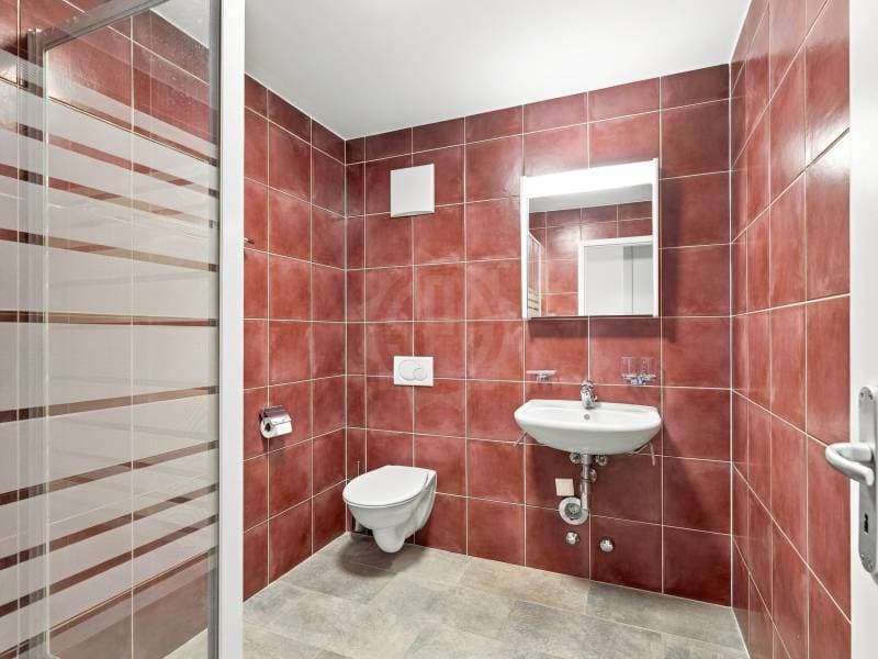 Magnifique appartement - Le Grand-Saconnex (7)