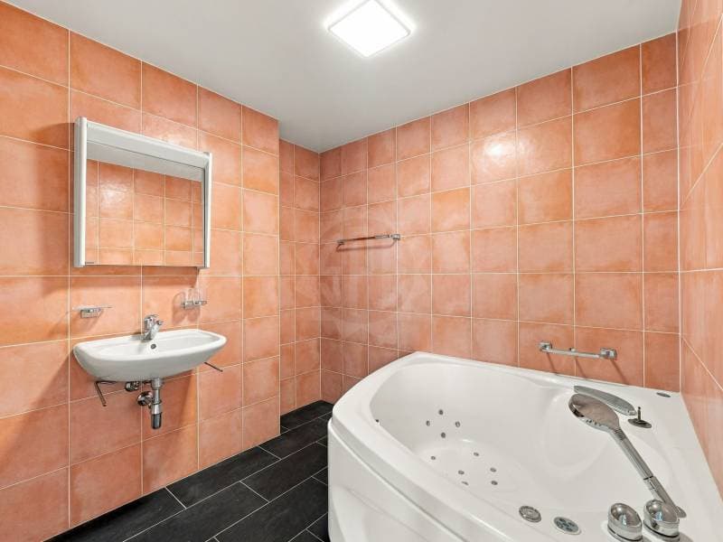 Magnifique appartement - Le Grand-Saconnex (9)