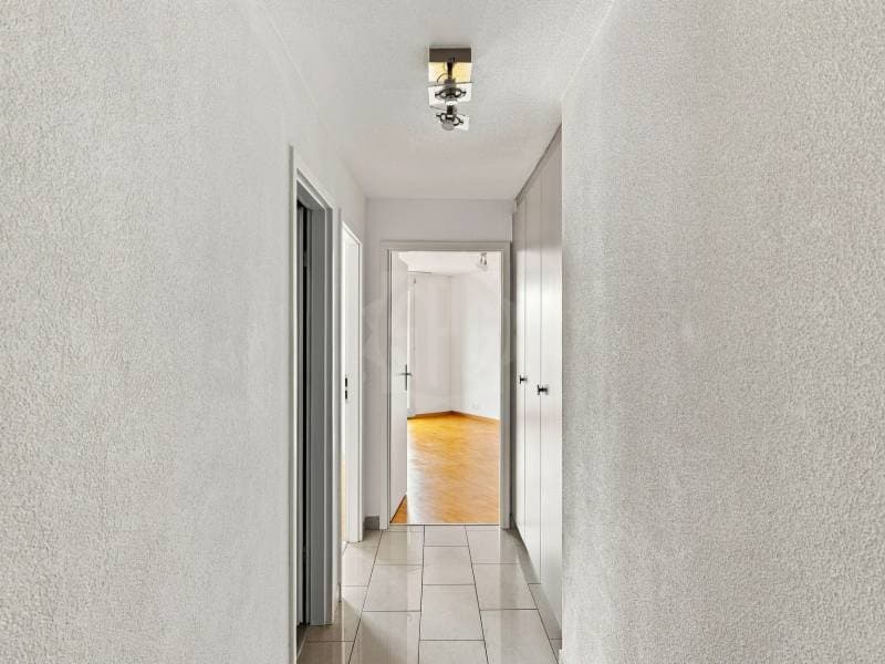 Magnifique appartement - Le Grand-Saconnex (5)
