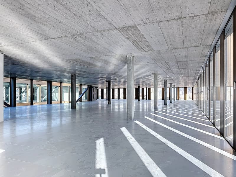 Ausnahmefläche von 1'127 m² im 7. Stock - Panoramablick 360 (3)