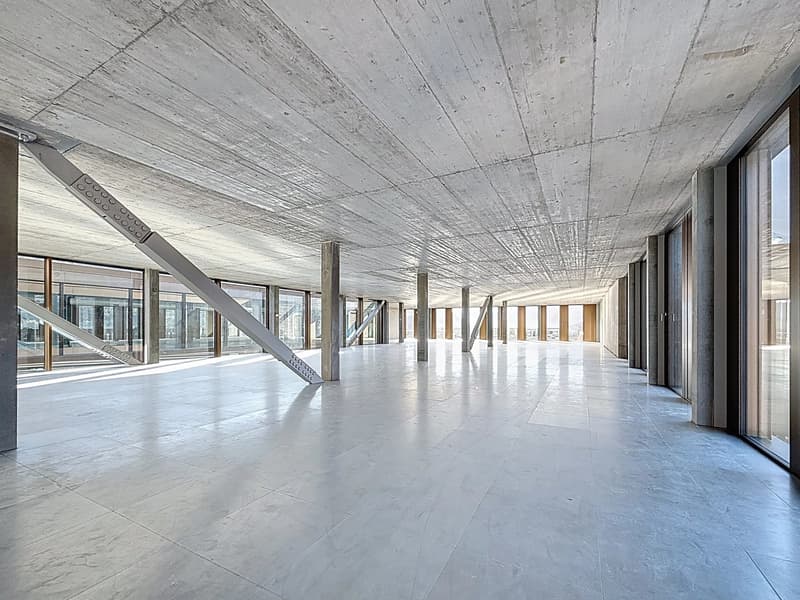 Ausnahmefläche von 1'127 m² im 7. Stock - Panoramablick 360 (1)