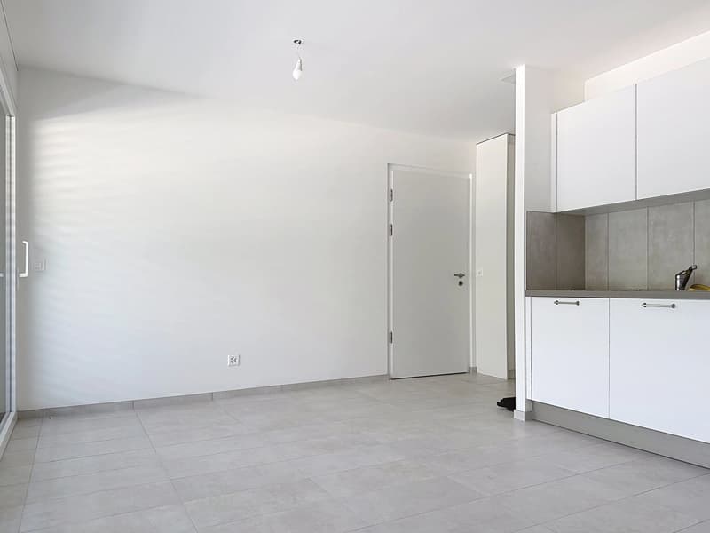 Studio neu mit Balkon zur Miete in Uvrier (5)
