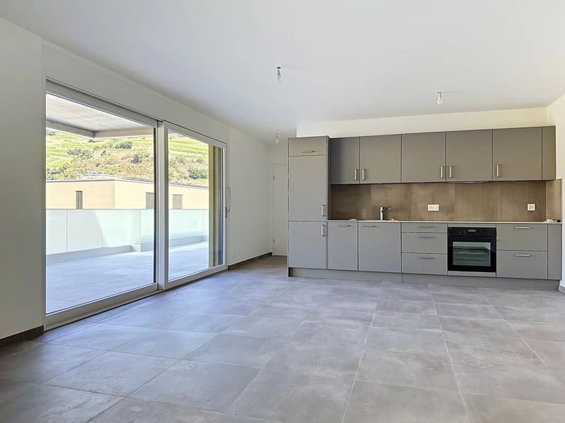 Bright 2.5-room apartment on the 2nd floor with large terrace - Alegria promotion in Uvrier (1)