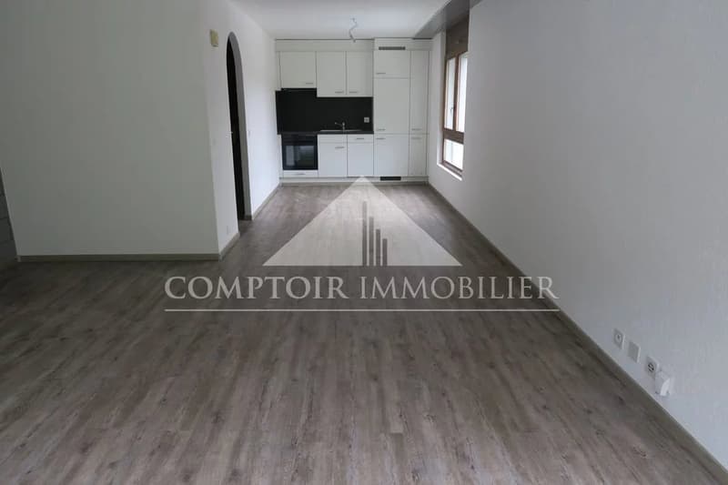 Studio kürzlich renoviert in Chalais (3)