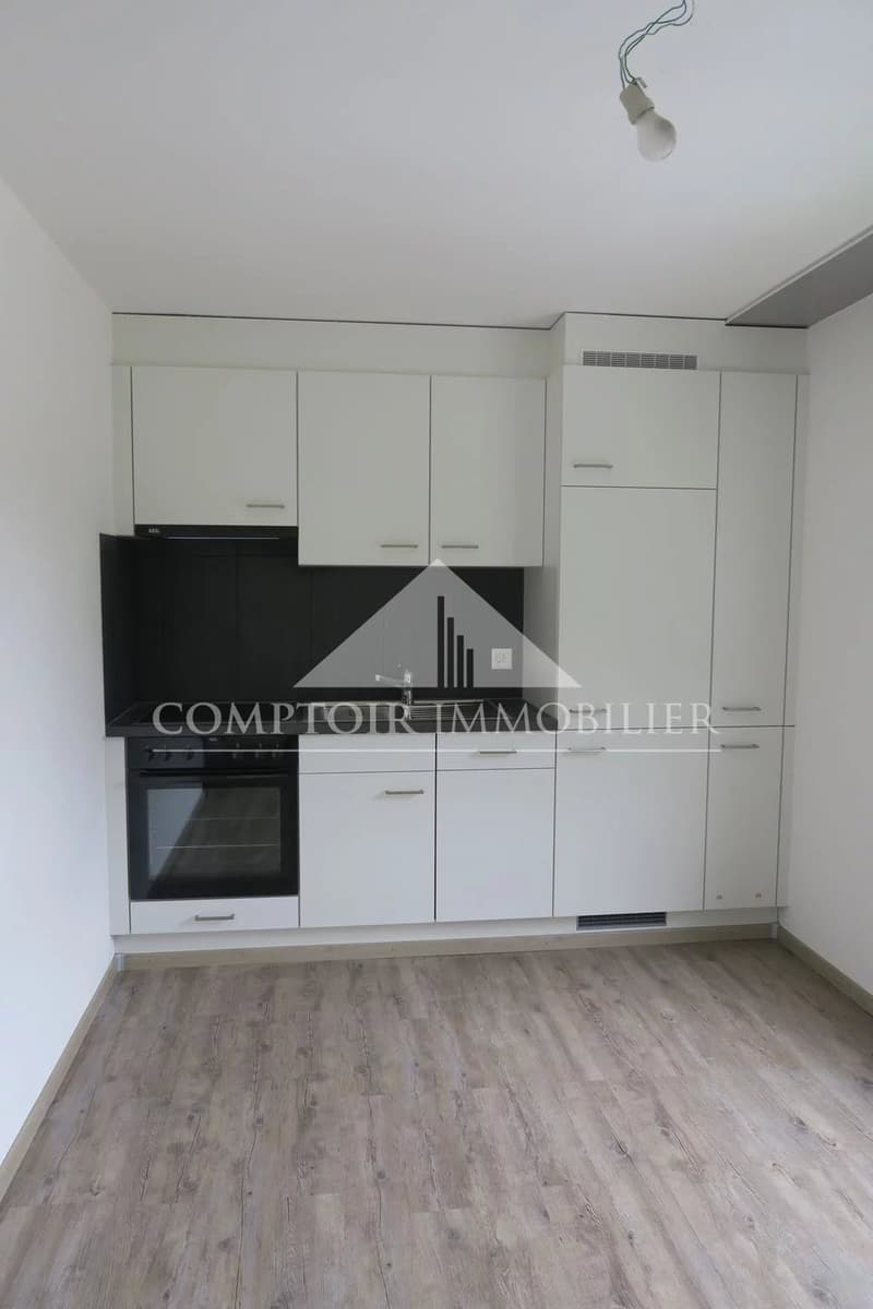 Studio kürzlich renoviert in Chalais (4)