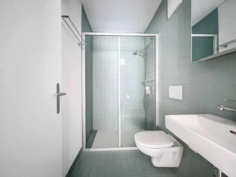 Moderne 3.5 Zimmer Wohnung in Visp (3)
