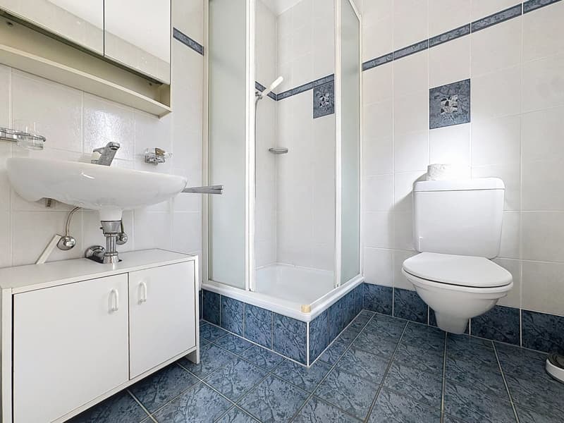 A louer superbe villa individuelle à Bramois (7)