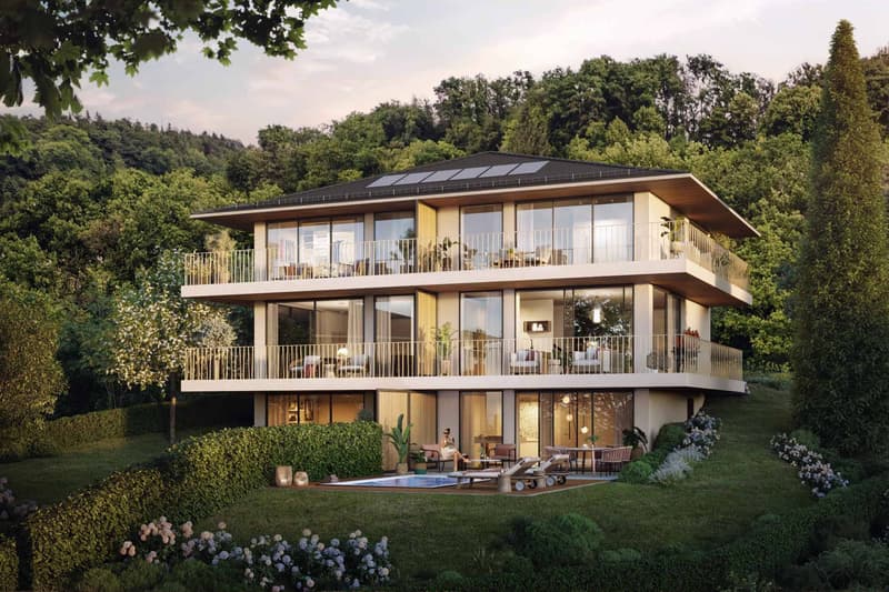 Projet "Les Jardins Bellevue" - Villa jumelle à construire de 4.5 pièces ou 5.5 pièces avec une vue des plus époustouflantes à vendre à Jongny (2)