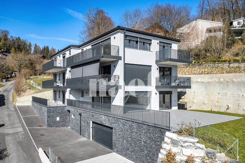 Magnifique appartement en attique de 5.5 pièces (3)