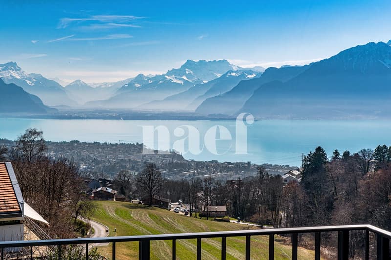 Magnifique appartement en attique de 5.5 pièces (4)
