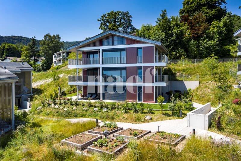 New 4.5-room attic apartment with mezzanine and spectacular view of the lake for sale in Jongny - Lot D2 (2)