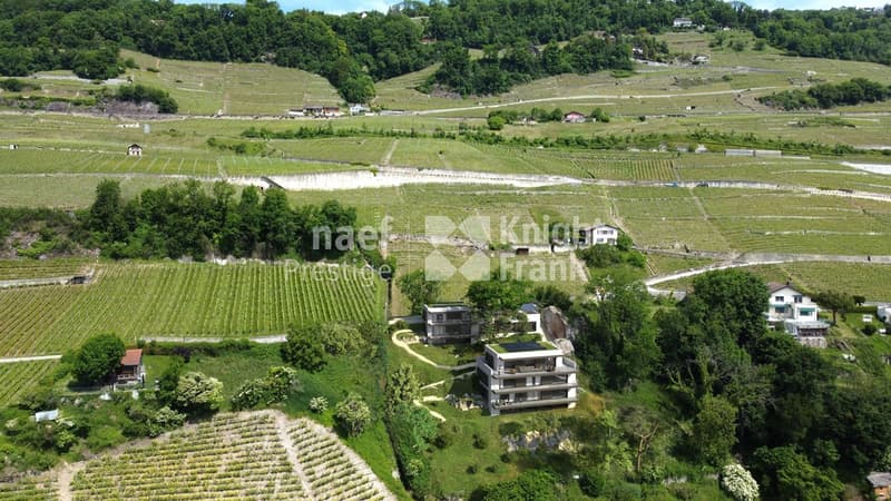 Appartement neuf de 6.5 pièces en duplex avec une vue panoramique sur le lac (2)