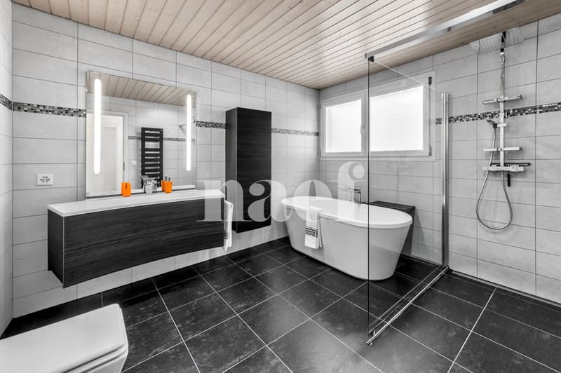 Very beautiful single-family house with 6.5 rooms, independent studio, and outdoor pool for sale in Bex (11)