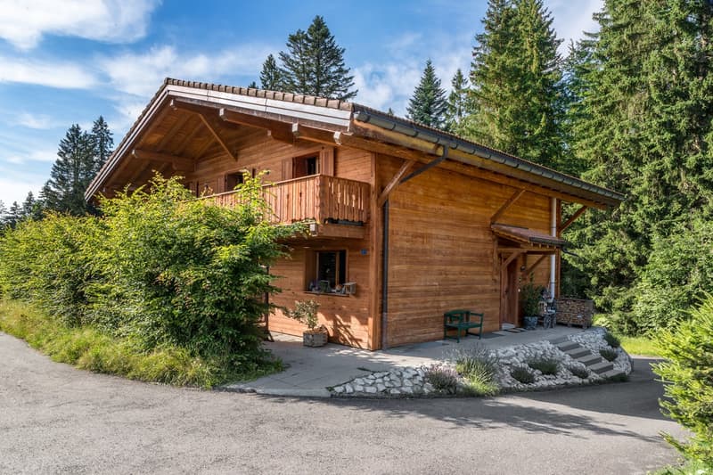 Magnificent 7.5-room chalet (3)