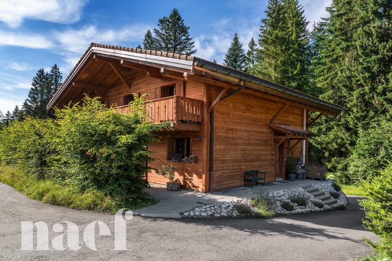 Meraviglioso chalet di 7,5 locali (1)
