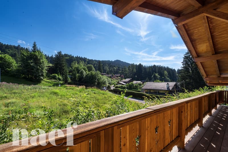 Meraviglioso chalet di 7,5 locali (6)