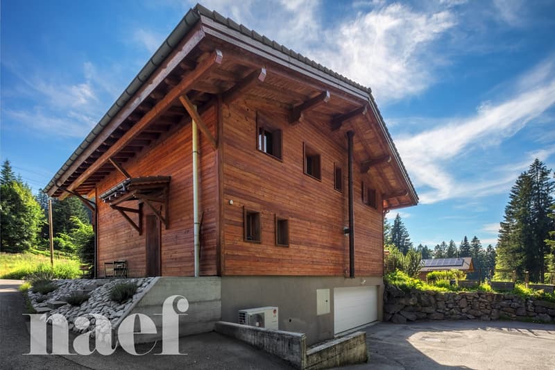 Meraviglioso chalet di 7,5 locali (5)