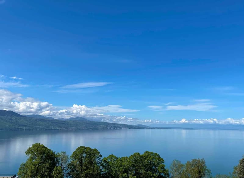 Vue extraordinaire sur le lac