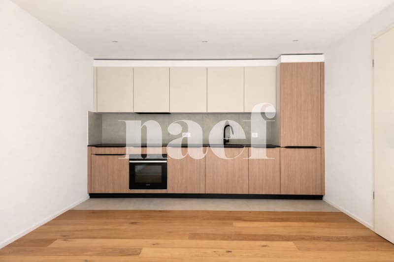 Superbo appartamento nuovo di 3.5 locali con grande terrazza e giardino privato in vendita ad Arbaz (4)