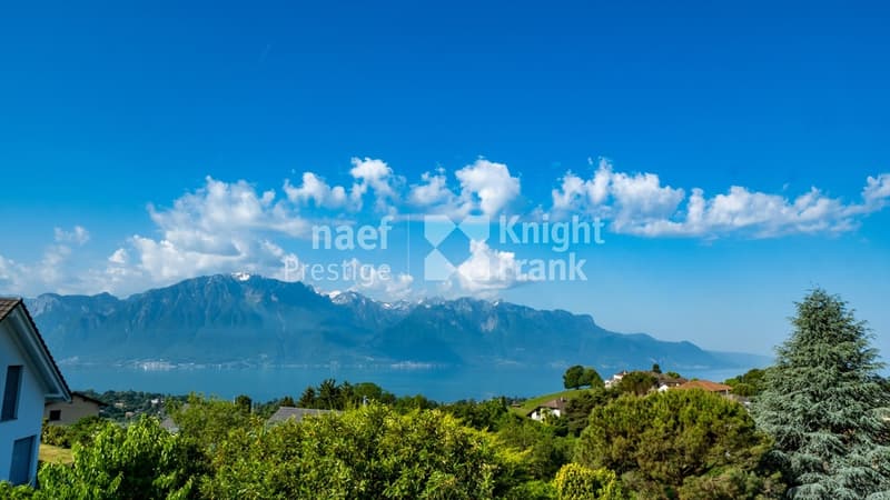 Prachtvolle Einzelvilla mit 6.5 Zimmern und außergewöhnlichem Blick auf den See und die Berge zu verkaufen in Blonay (1)