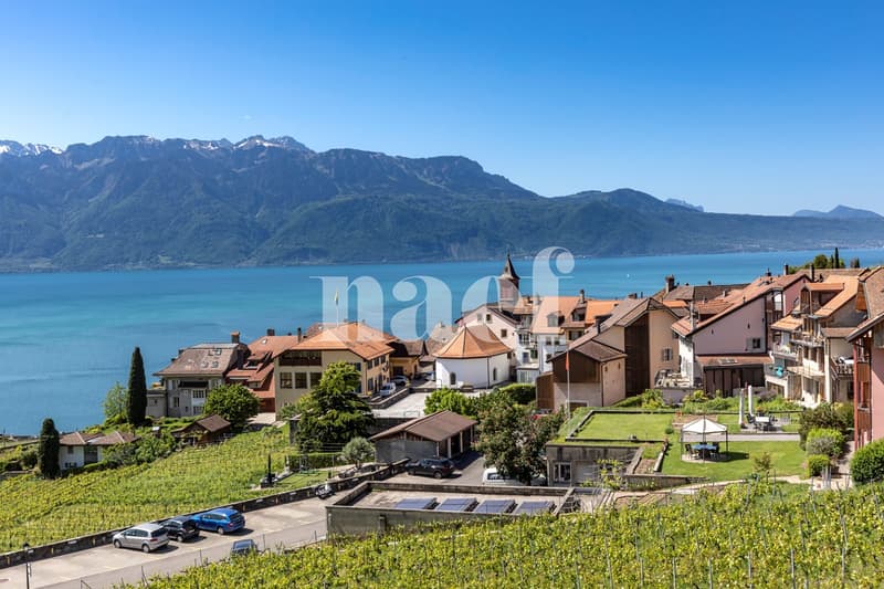 Maison villageoise de charme avec appartement de 3.5 pièces et une place de parc à vendre à Rivaz (3)