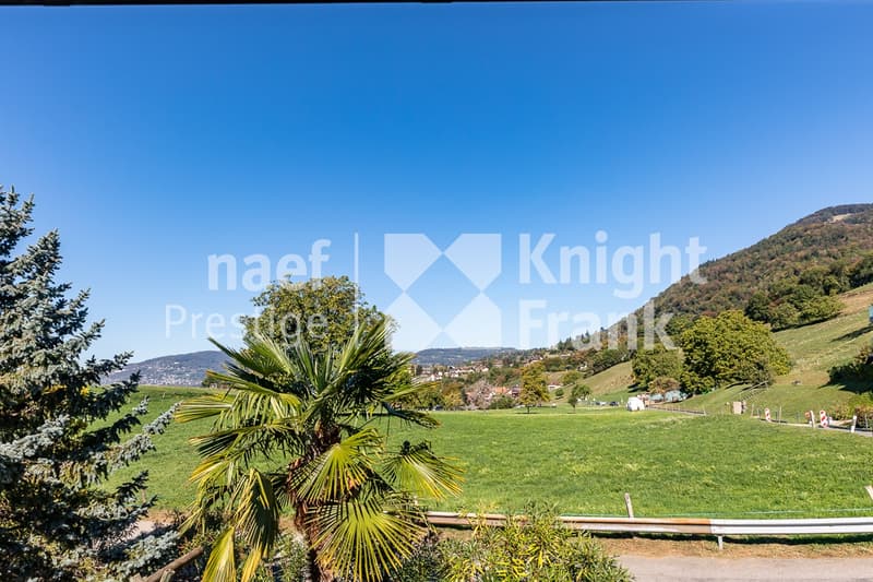 En exclusivité ! Propriété familiale de 7.5 pièces à vendre à Montreux (4)
