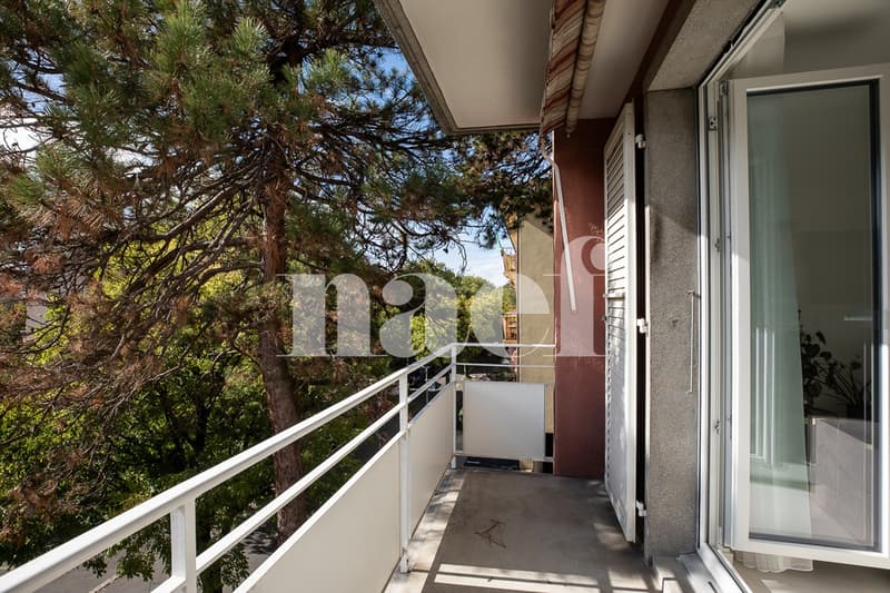 En exclusivité ! Lumineux appartement entièrement rénové de 4.5 pièces à vendre au coeur de Vevey (4)