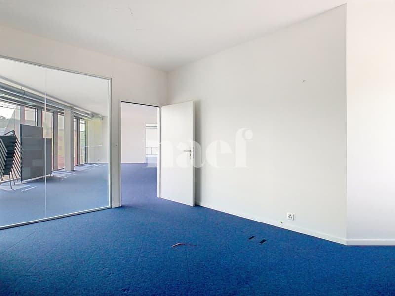 Büros im neuen Gebäude (4)