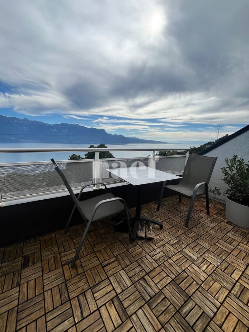 Panoramic view of the lake and mountains (10)